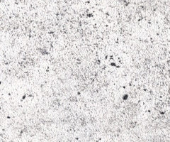 “水墨書香”——上海中國畫作品邀請展隆重開幕